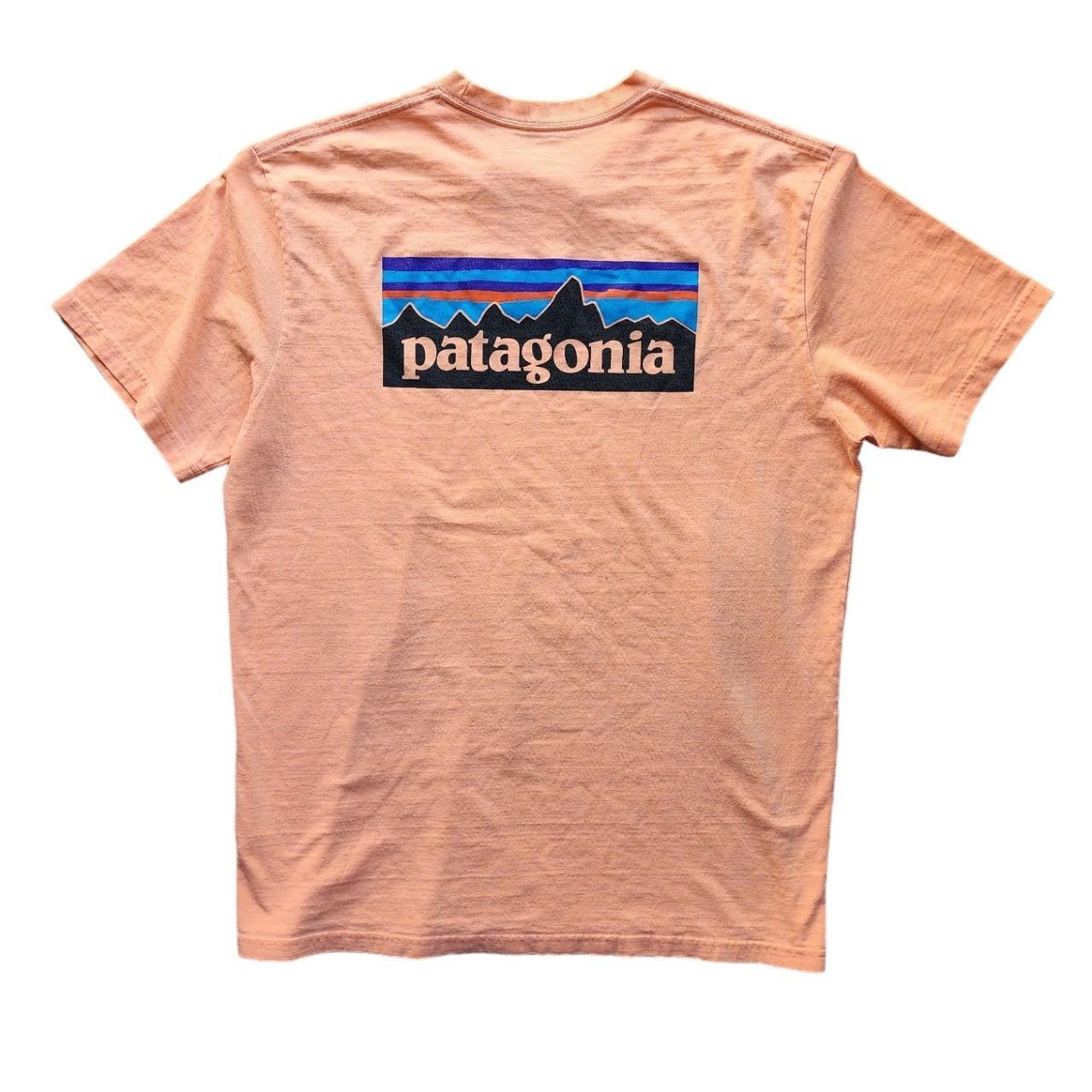 Patagonia Logo Salmon T Shirt Salmon Colorway Depop