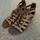 item listed by lily_kolar