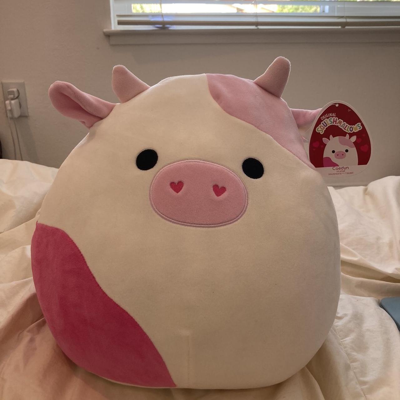 Caedyn Pink Cow Squishmallow Rare And Brand New Depop