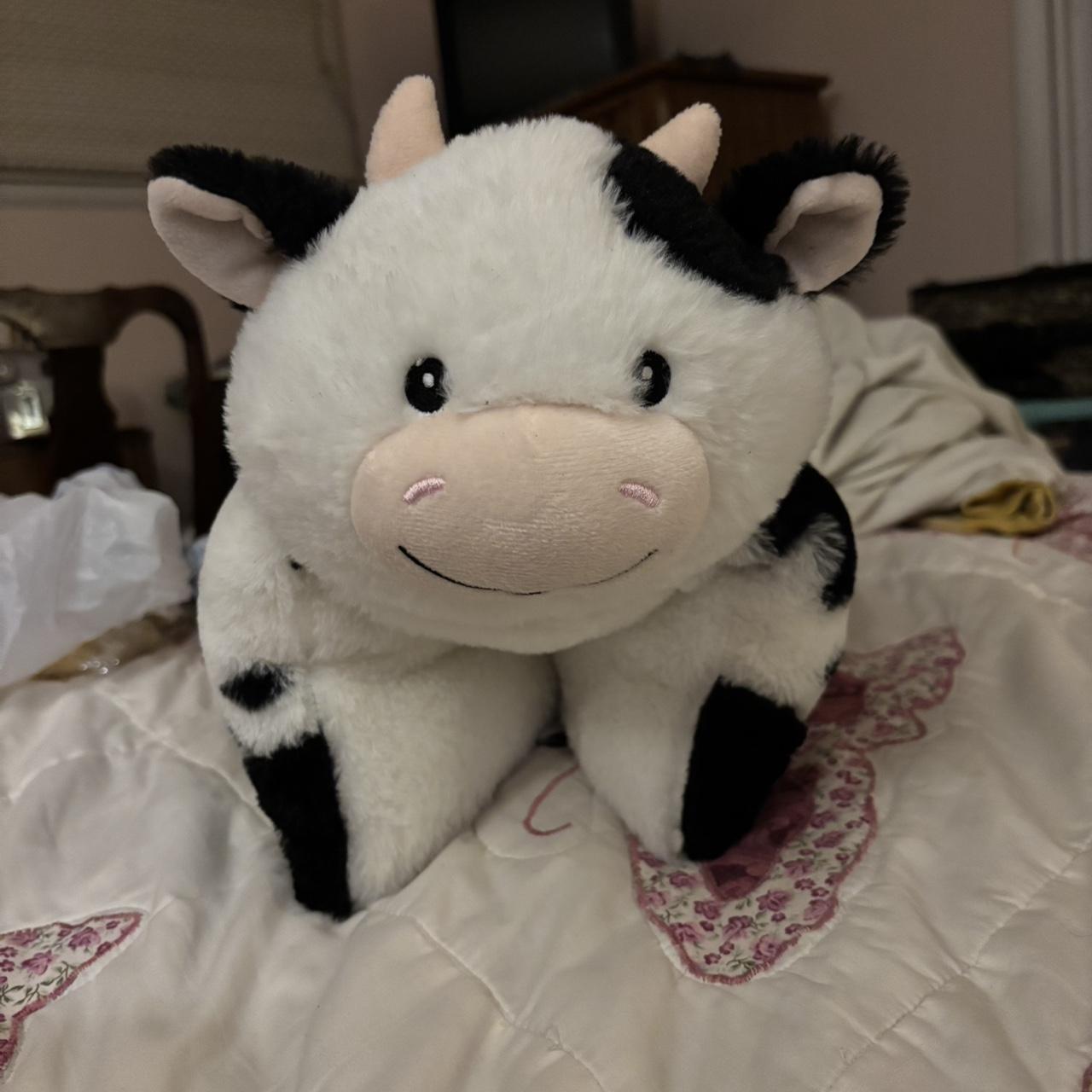 item listed by silverspringsc