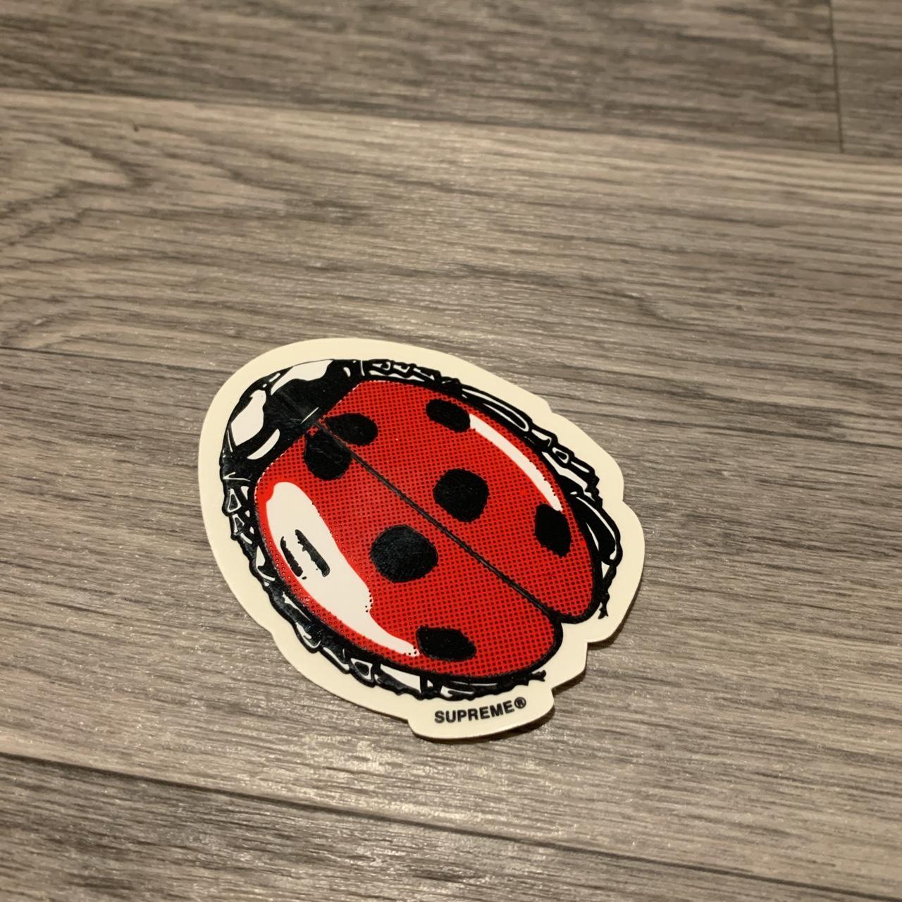 Ladybug supreme hotsell