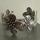 item listed by karina_espinoza_rbd