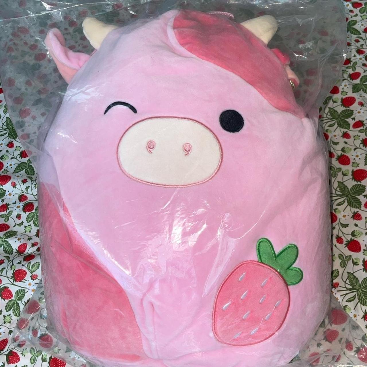 Reshma newest squishmallow