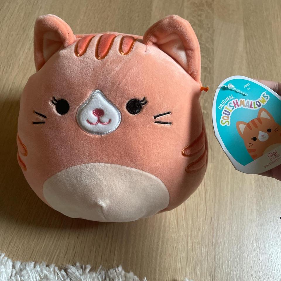 Squishmallow Charlotte the calico cat 💗 Summer - Depop