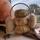 item listed by franki_franks