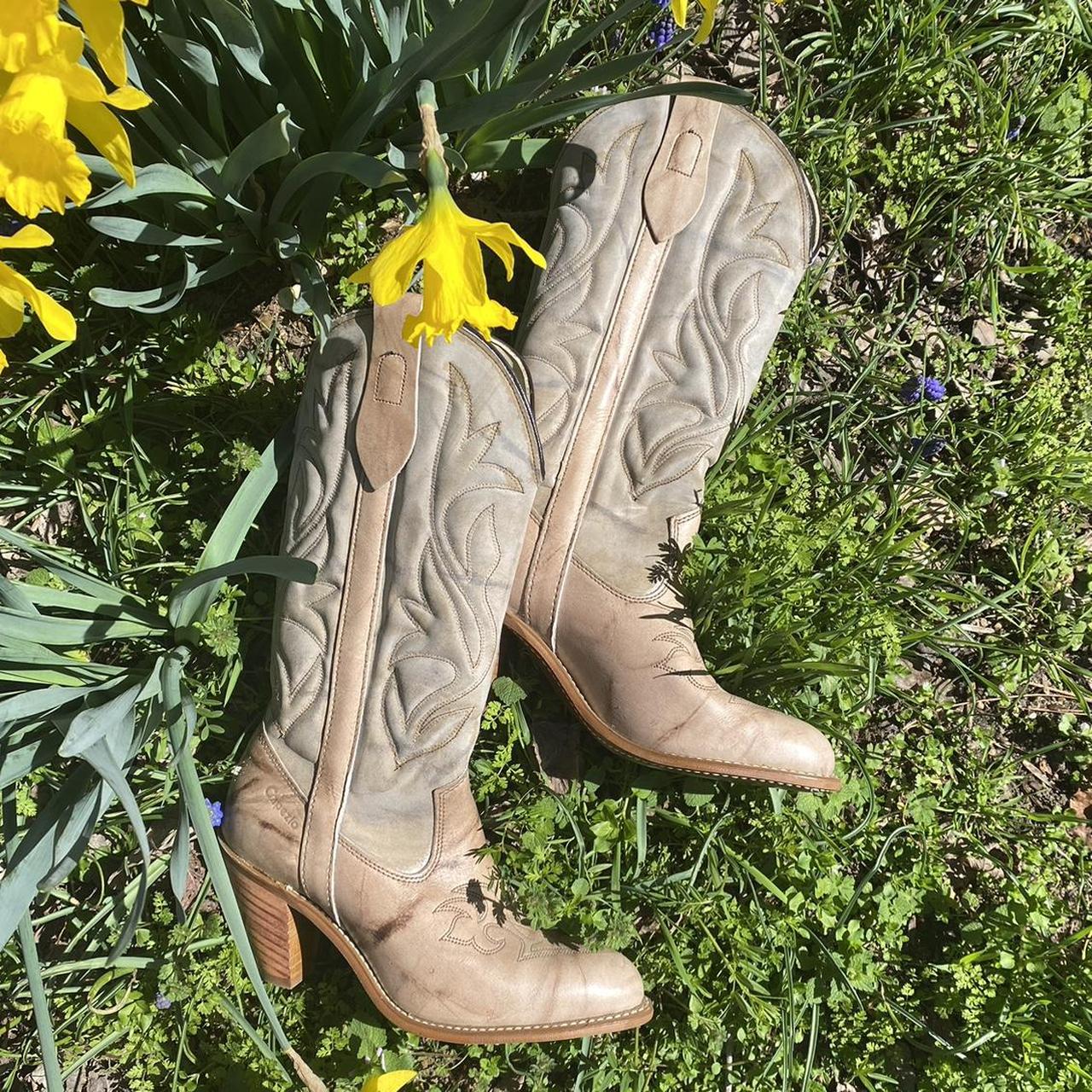 Capezio cowboy boots best sale