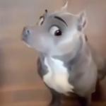 freakyjojo's profile picture