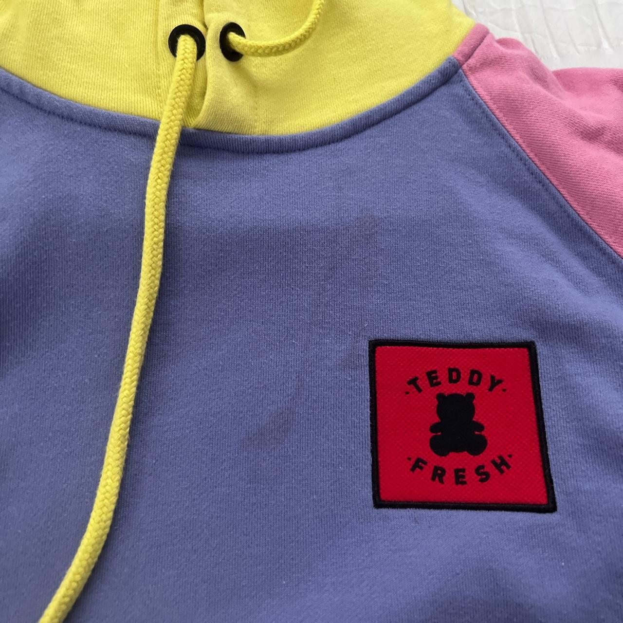 Teddy Fresh Men's Multi Hoodie Depop
