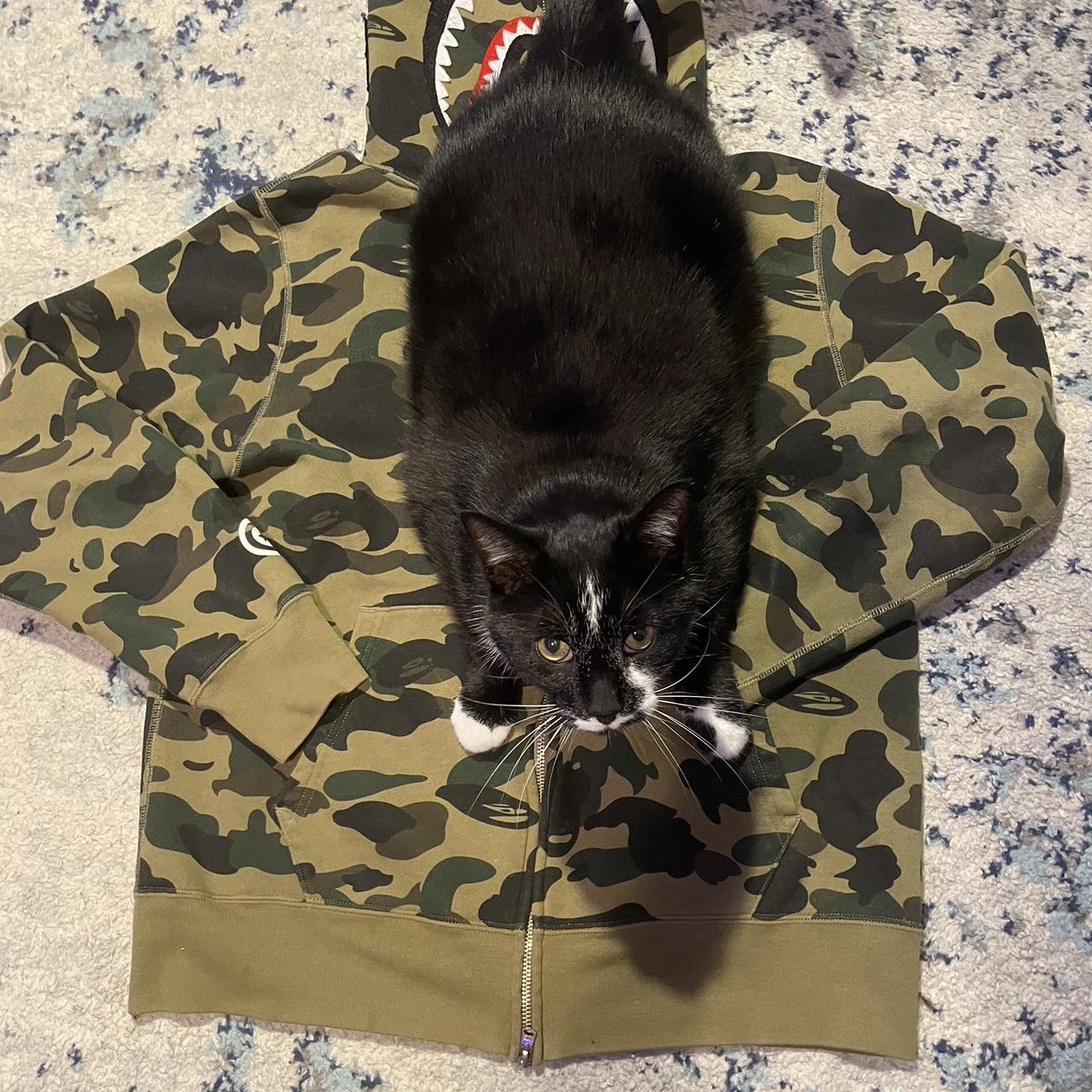 Bape cat hoodie online