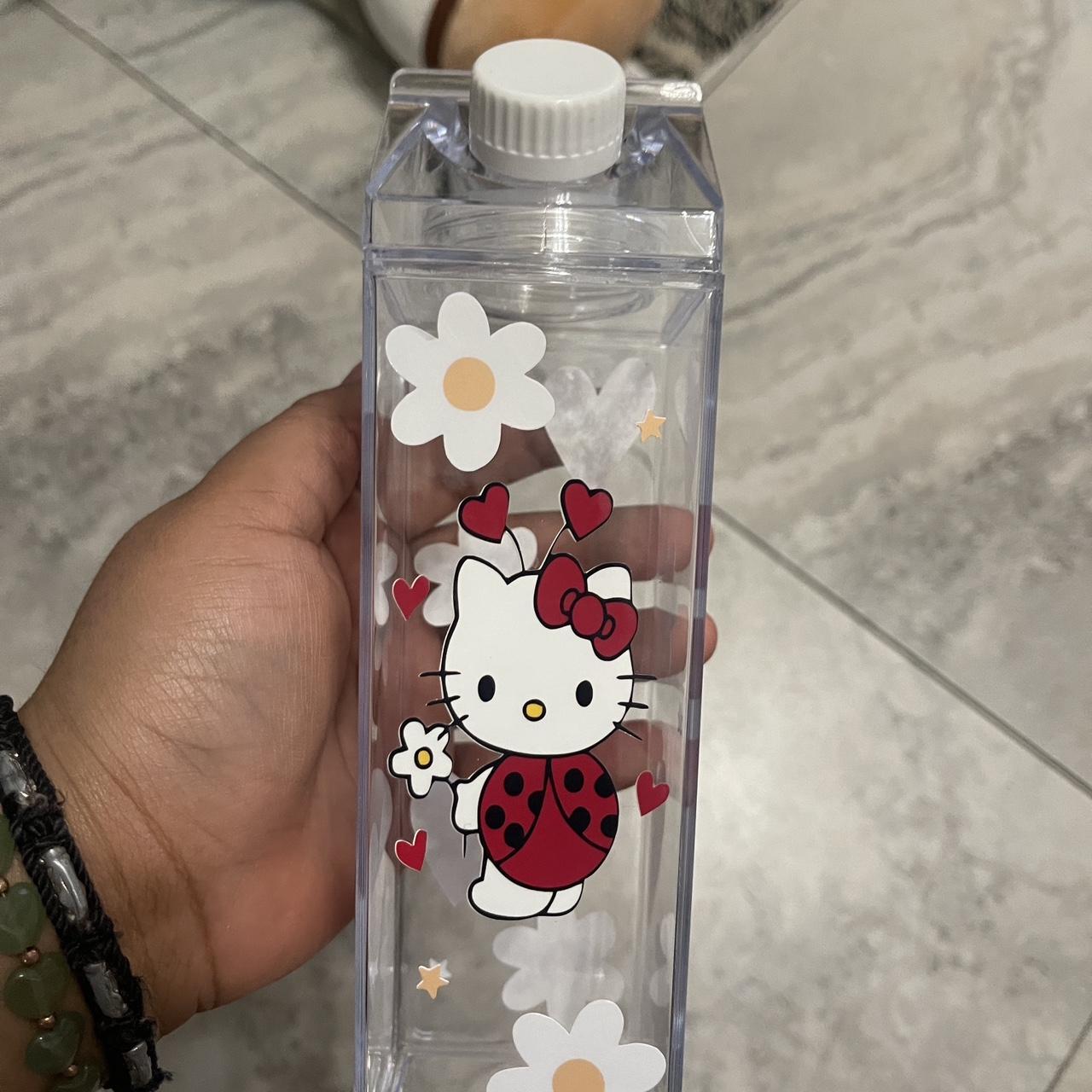 Hello kitty thermos water bottle Has some scuffs, - Depop