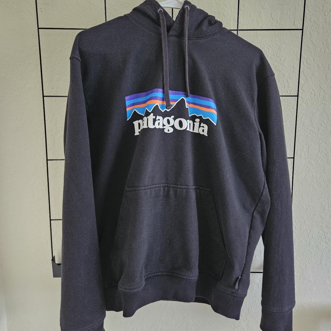 Hoodie 2025 patagonia original