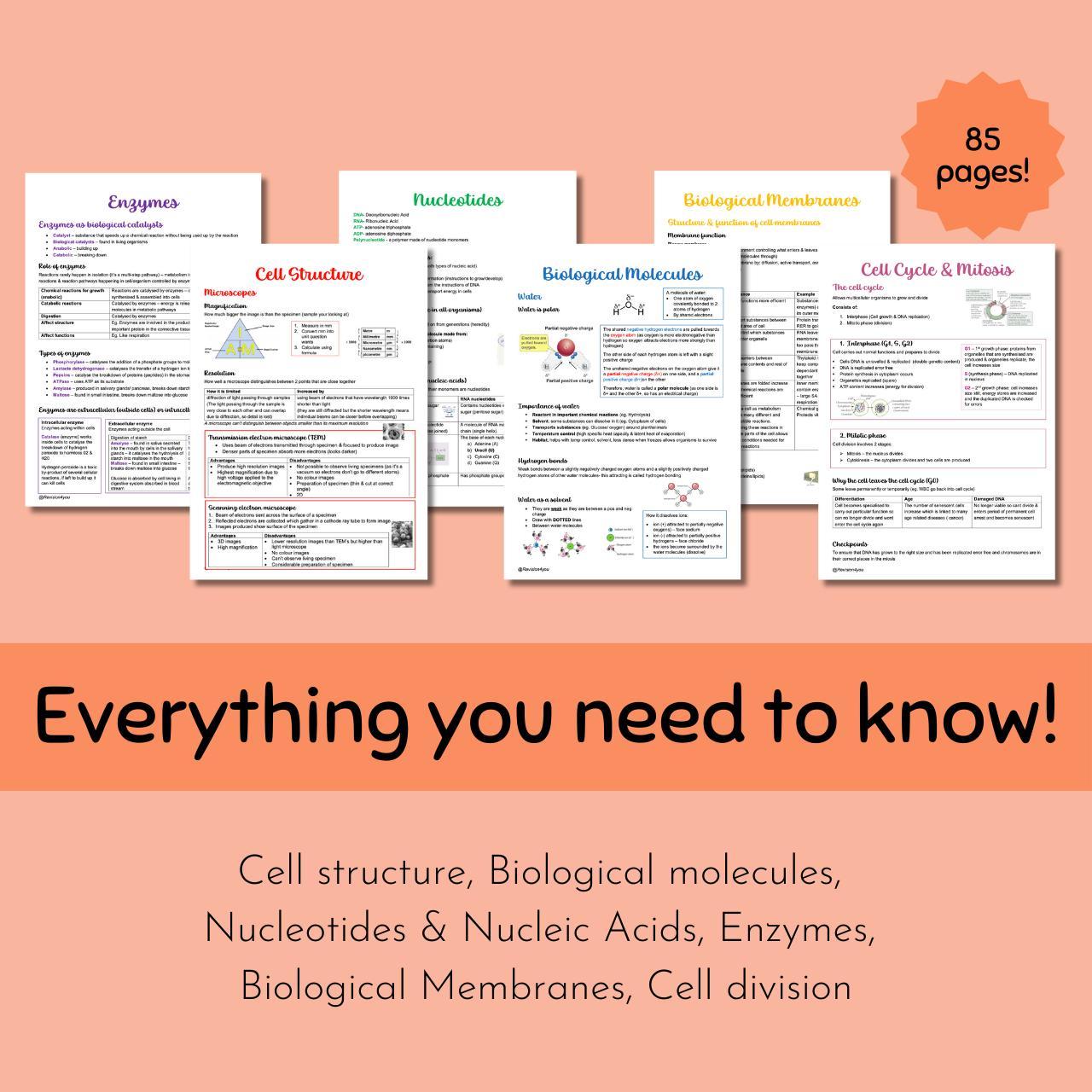 OCR A A-Level Biology Module 2 Revision... - Depop