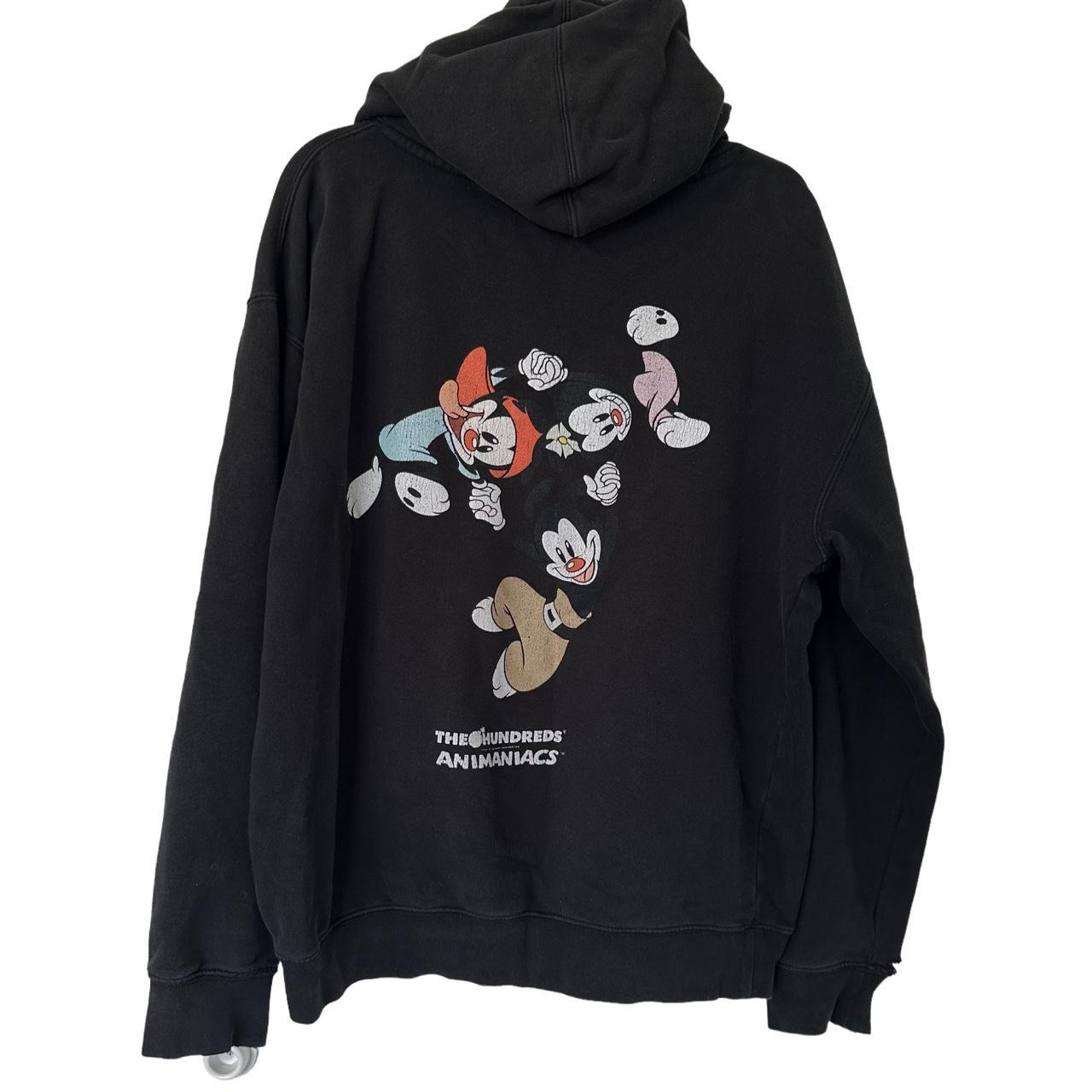 The Hundreds x Animaniacs Yakko Dot Pullover Hoodie Depop