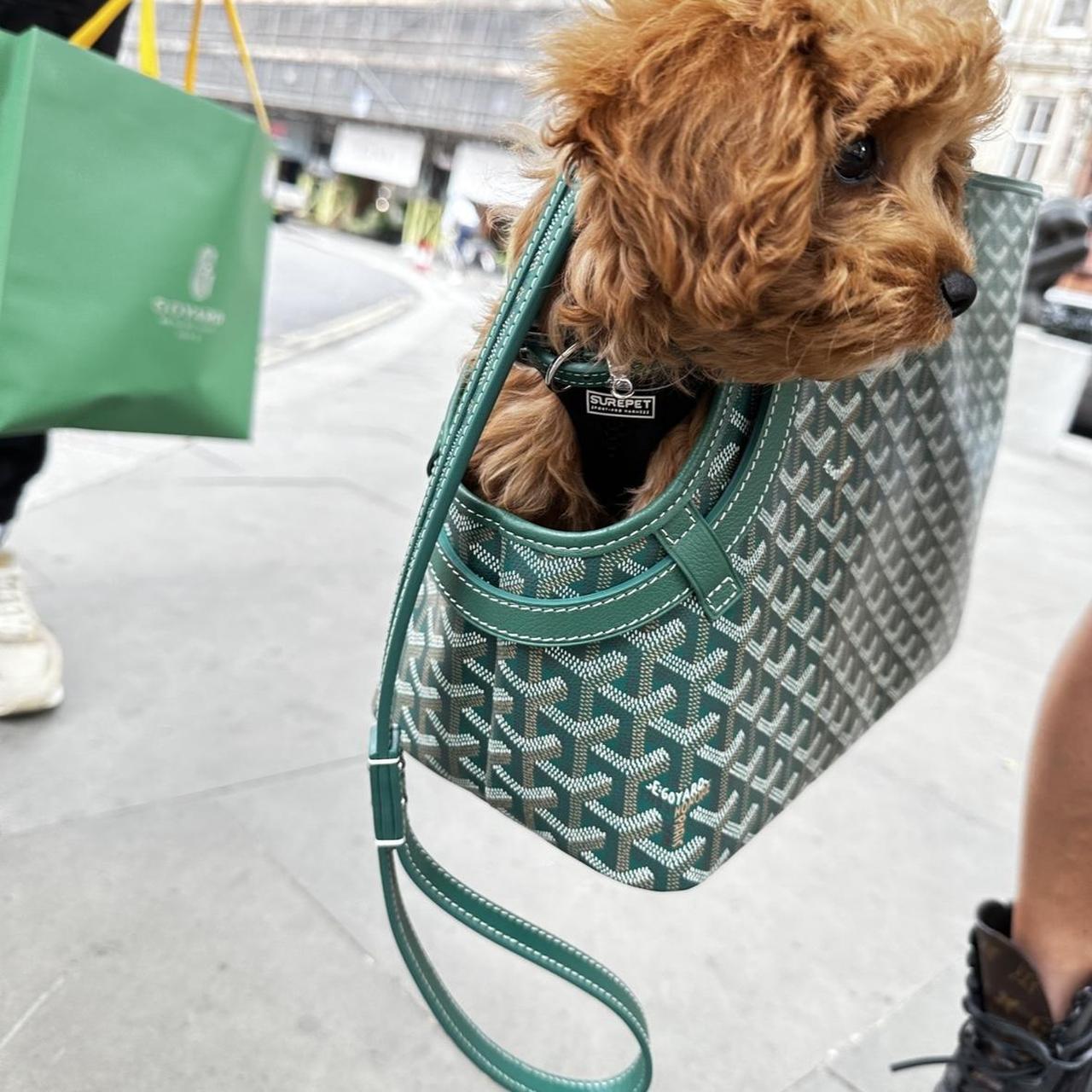 Pet Supplies Goyard Dog Carrier Price GOYARD Saint Louis PM Tote