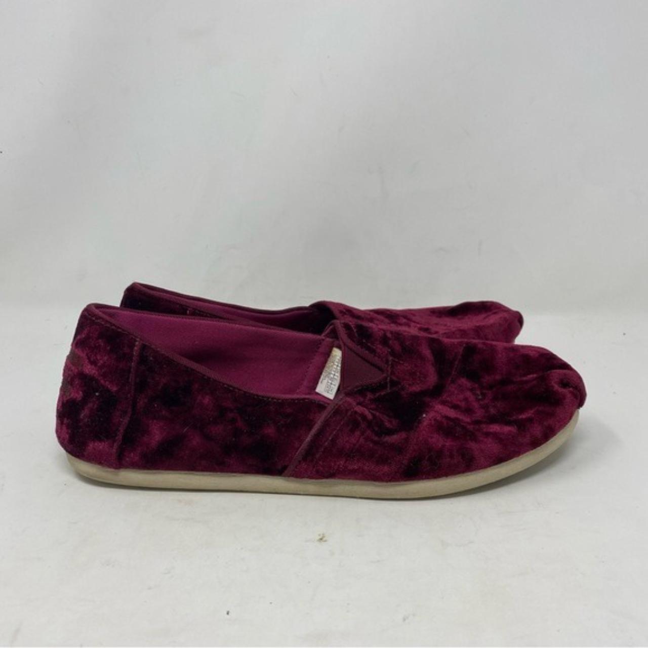 Burgundy toms on sale