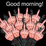 lauderchavez13's profile picture