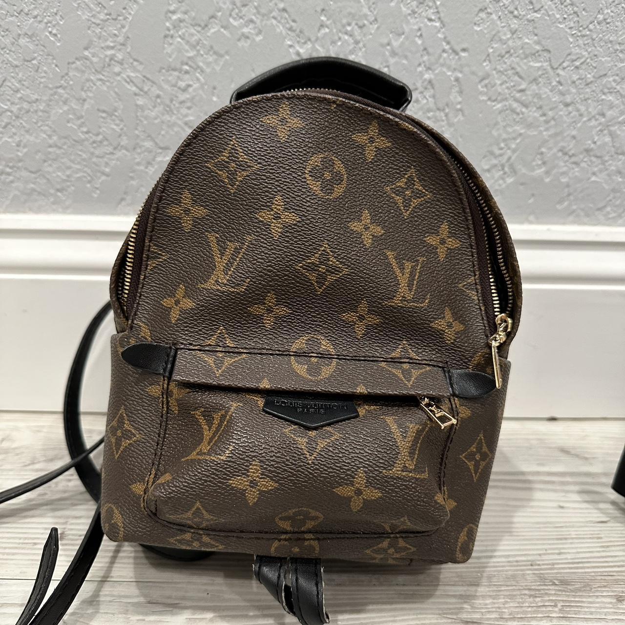 Louis Vuitton Backpack Palm Springs Mini Dupe