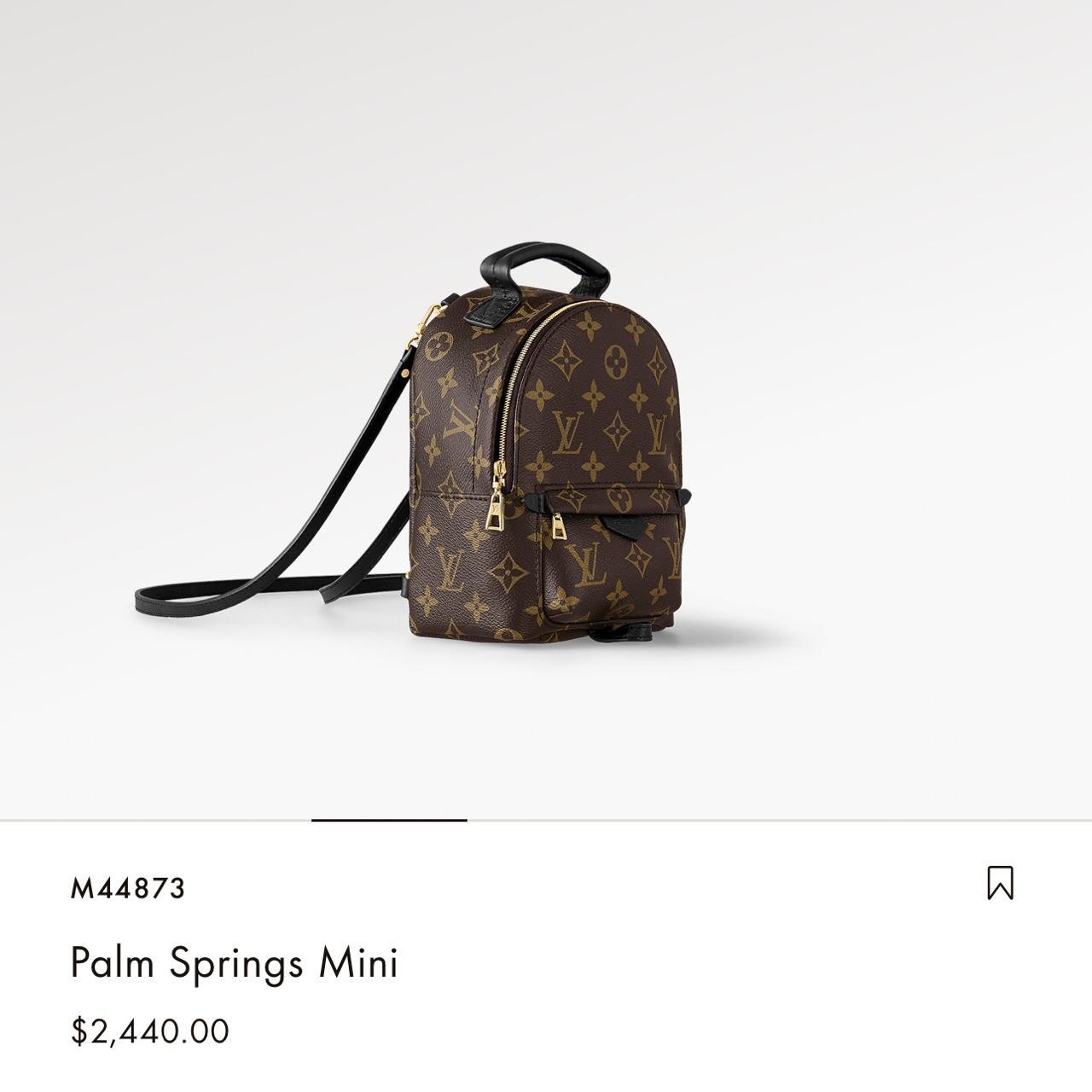 Lv palm spring backpack Bag only - Depop