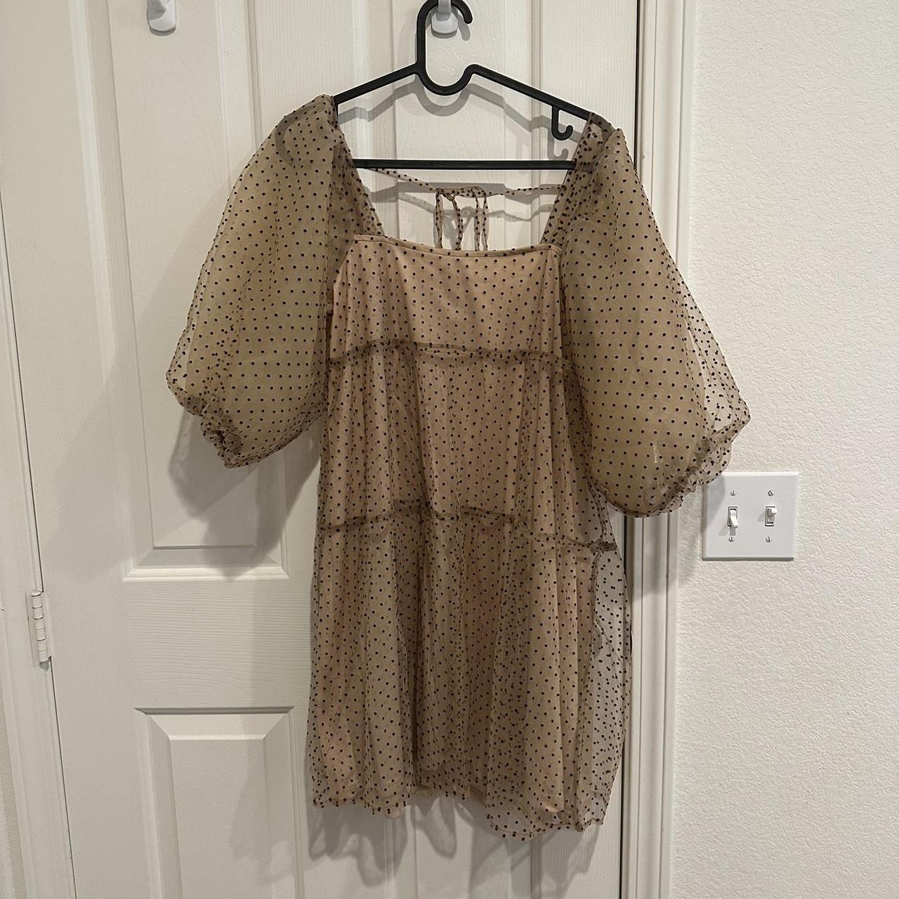 Zara sheer clearance polka dot dress