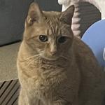 sadielouisaa's profile picture