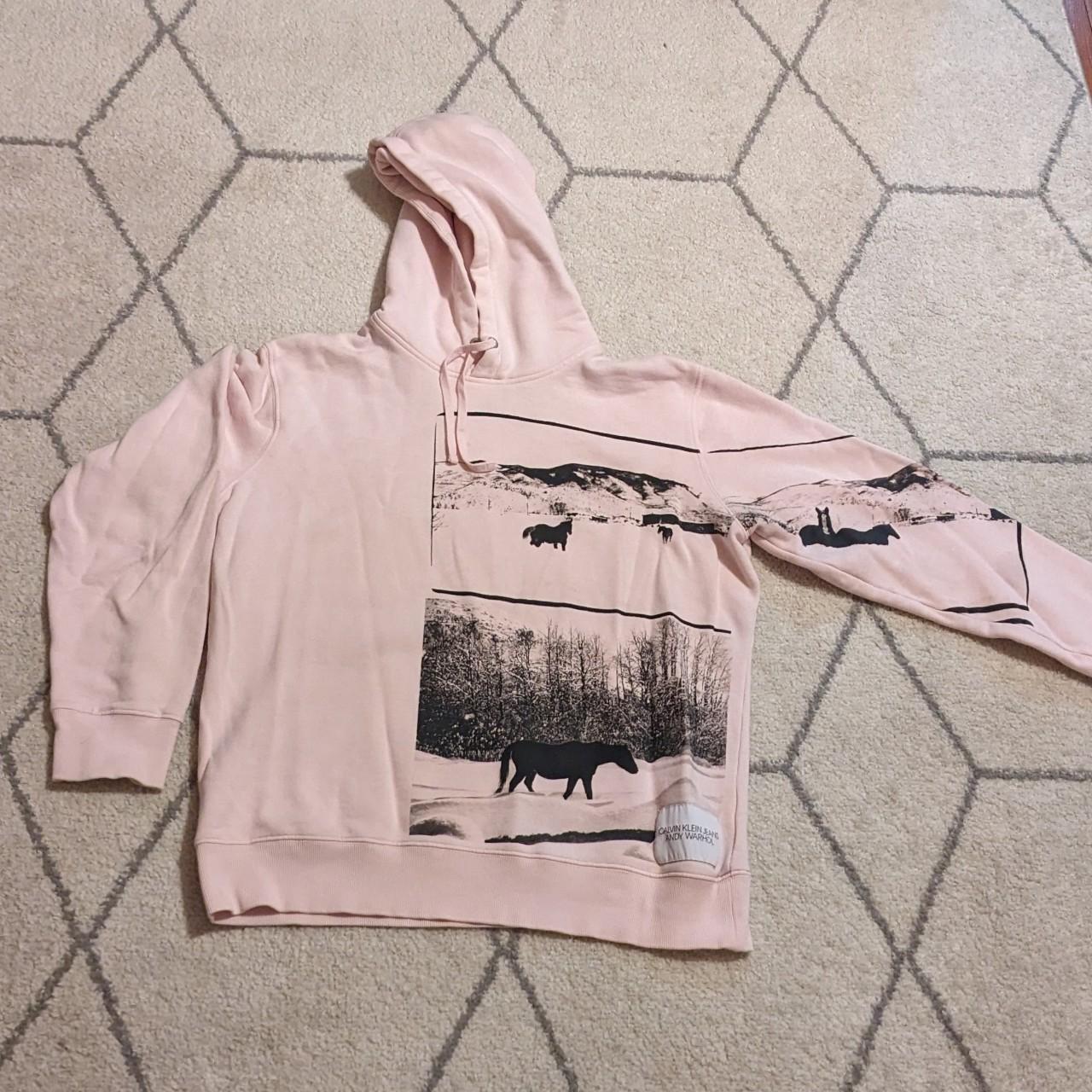 Calvin klein x andy warhol clearance hoodie