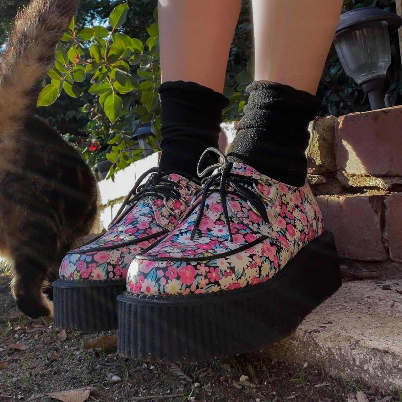 Tuk hello sale kitty creepers