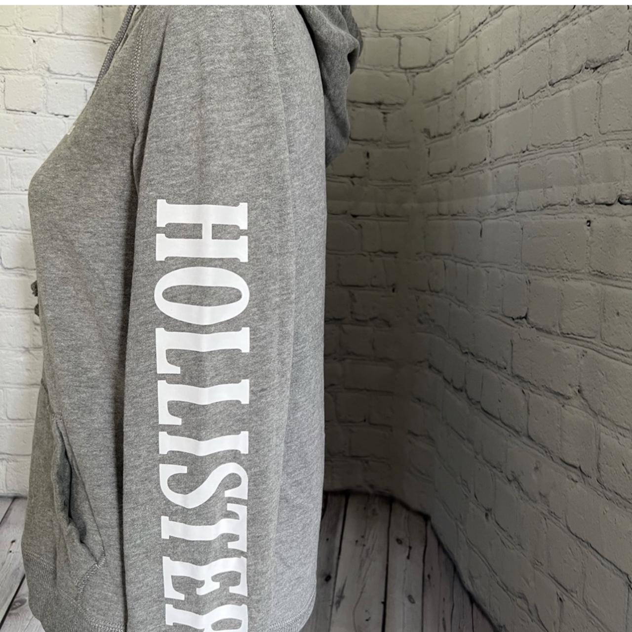 Hollister hot sale logo hoodie