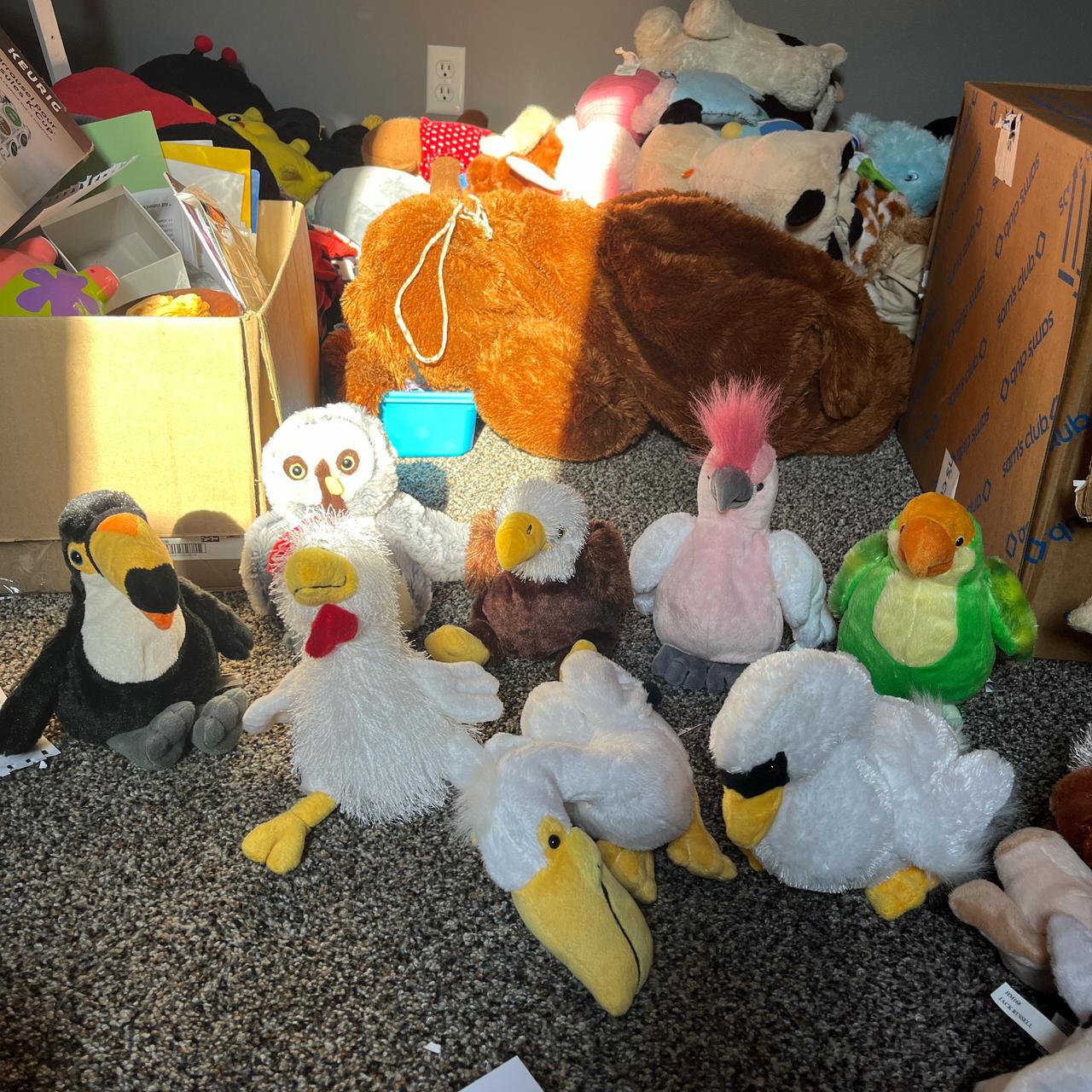 Webkinz outlet Lot