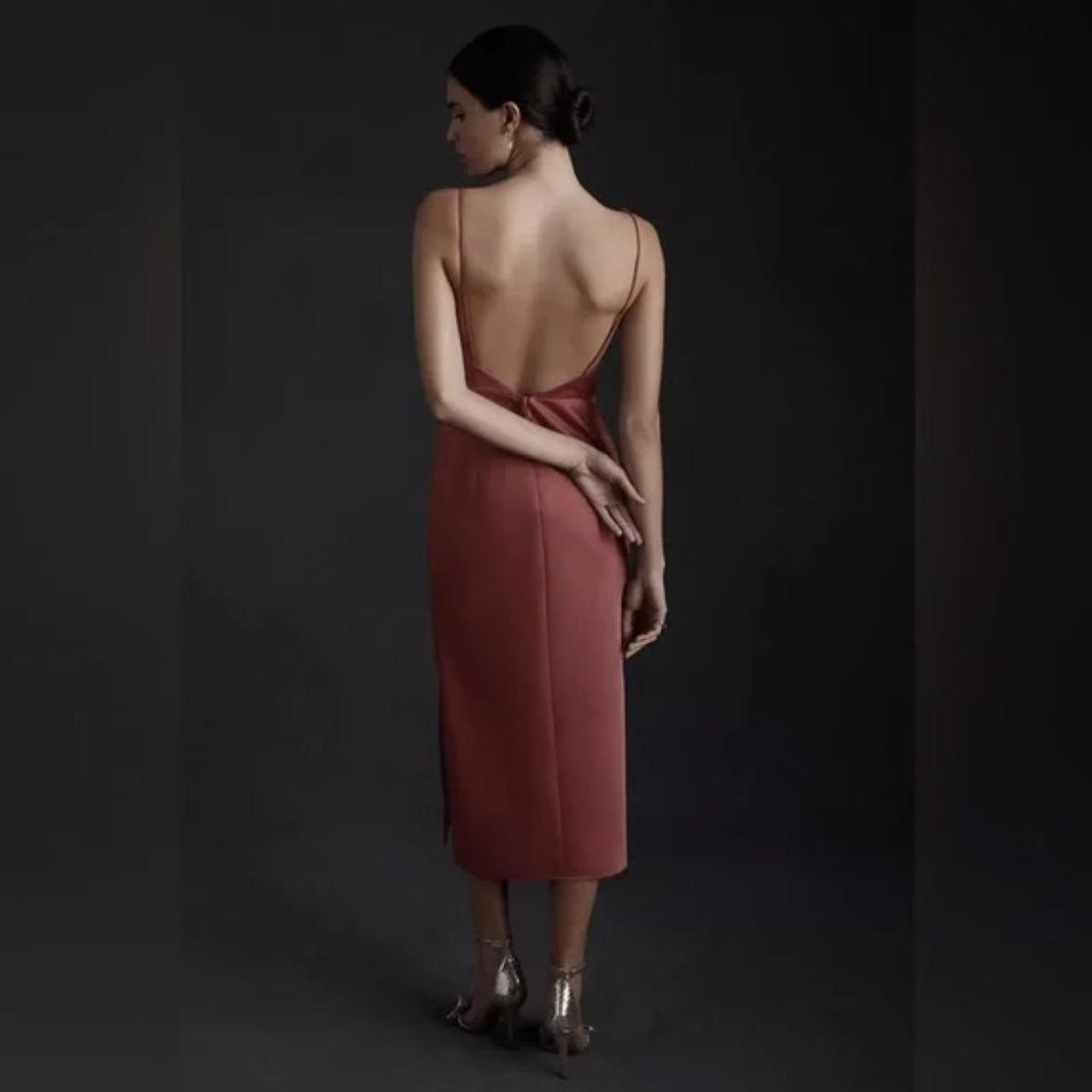 Bhldn cinnamon rose best sale