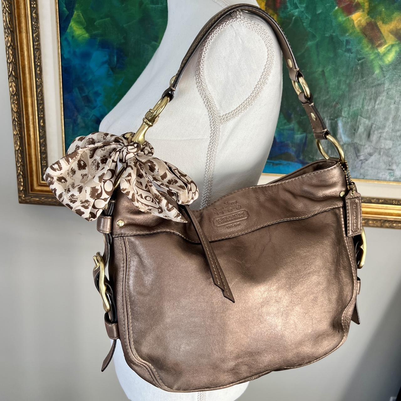 Coach zoe 2024 hobo handbag