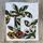 item listed by karliiinaaas_arte_thrift