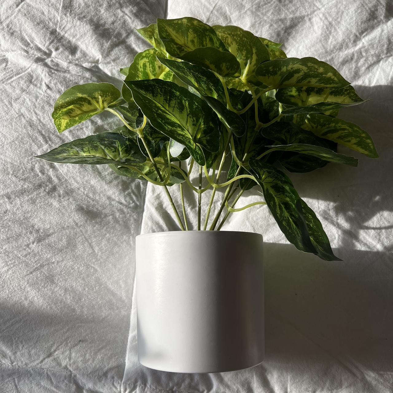 Fake green plant. Depop