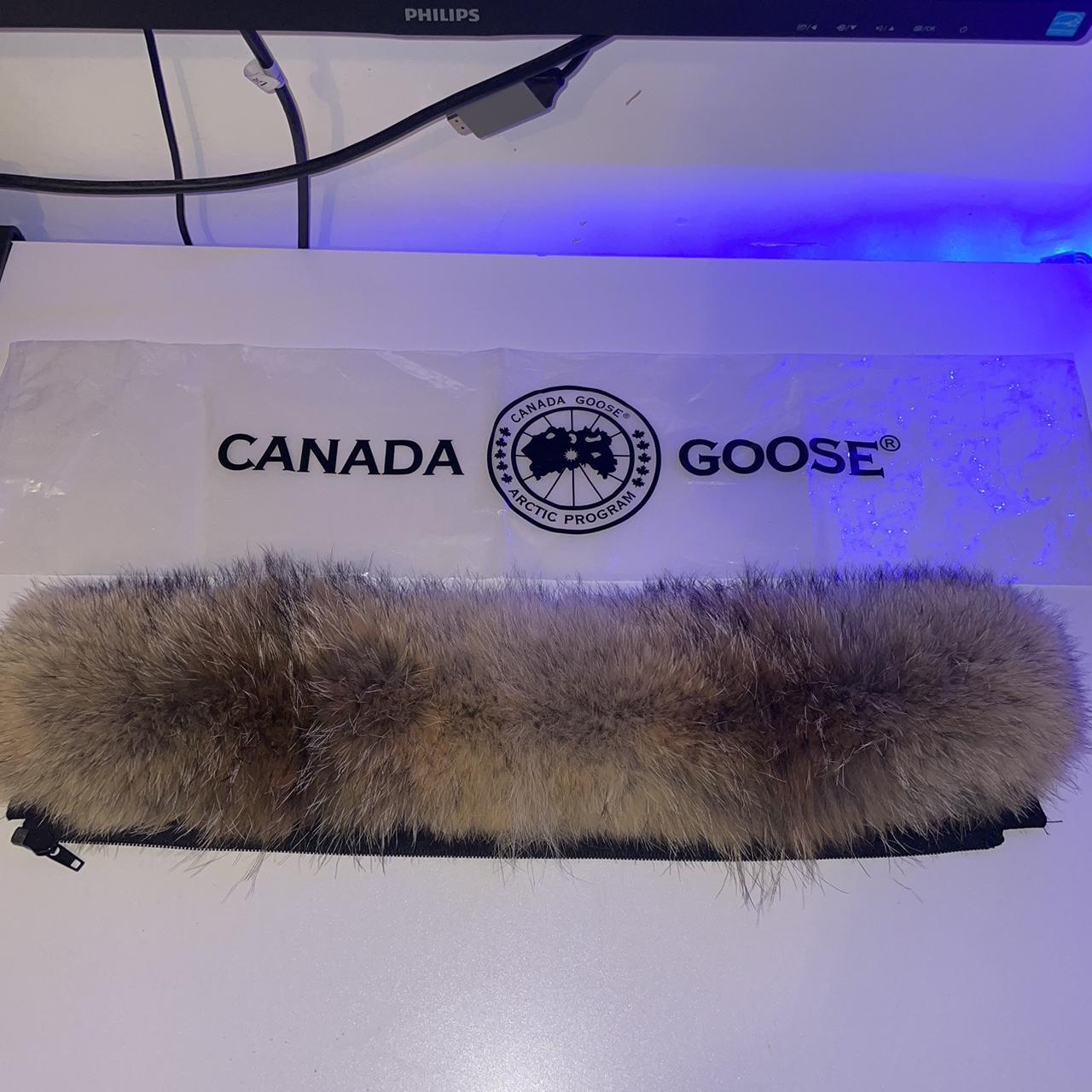 canada-goose-fur-beautiful-colour-stands-out-from-depop