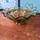 item listed by eparnell618