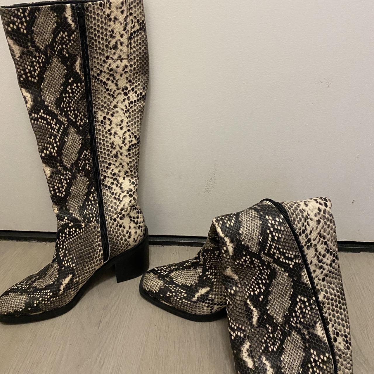 Snakeskin hot sale boots dsw