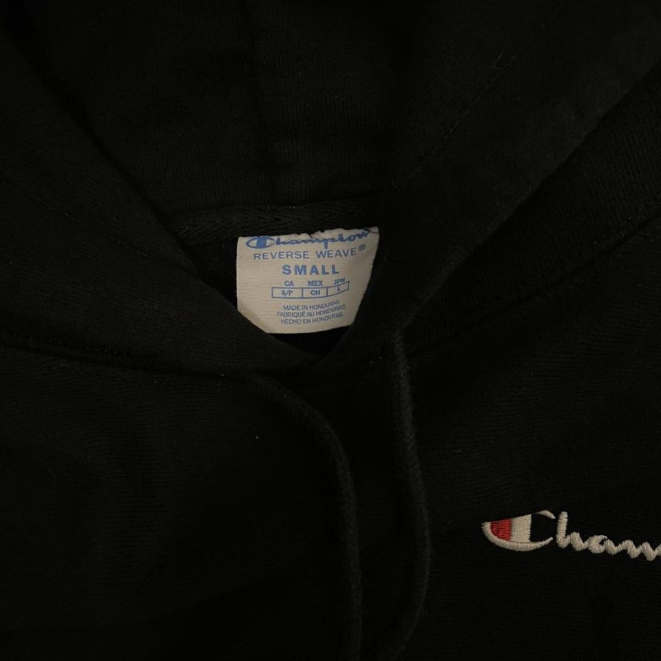 Champion hot sale 15763 hoodie