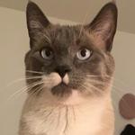 kirstent13's profile picture