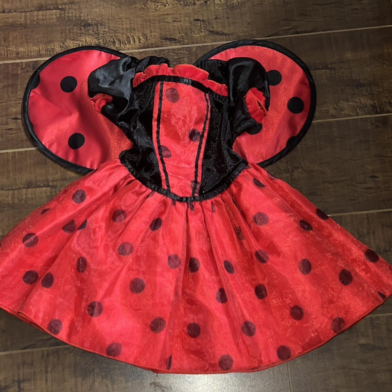 KOALA BABIES LADY BUG COSTUME 12-18 months! The... - Depop