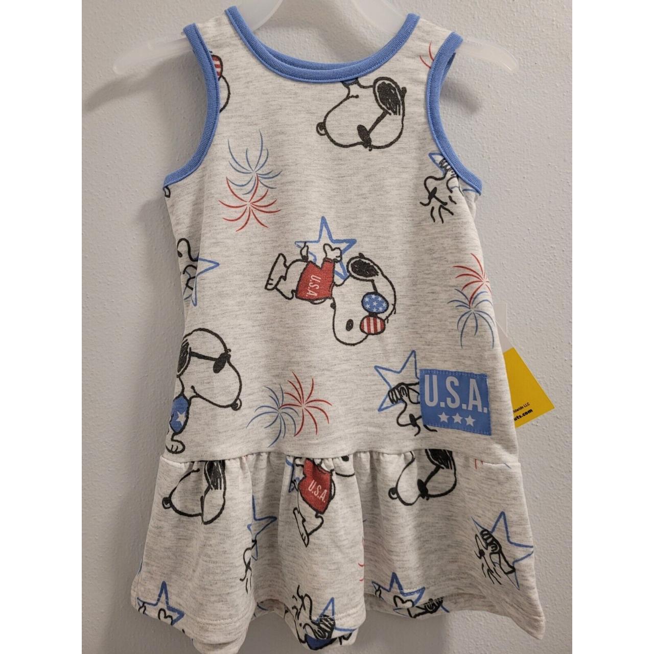 Toddler Peanuts Snoopy Girls Gray Pullover Dress... Depop