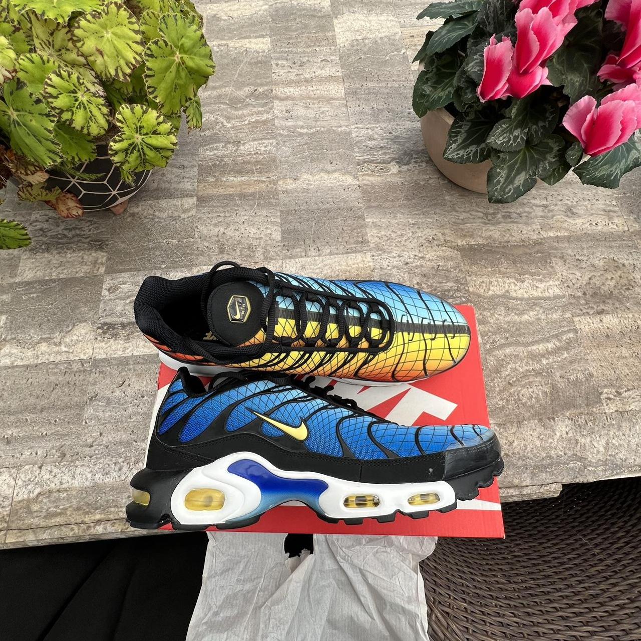 tn greedy footlocker