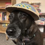 grambo402's profile picture