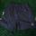 item listed by kythelvr