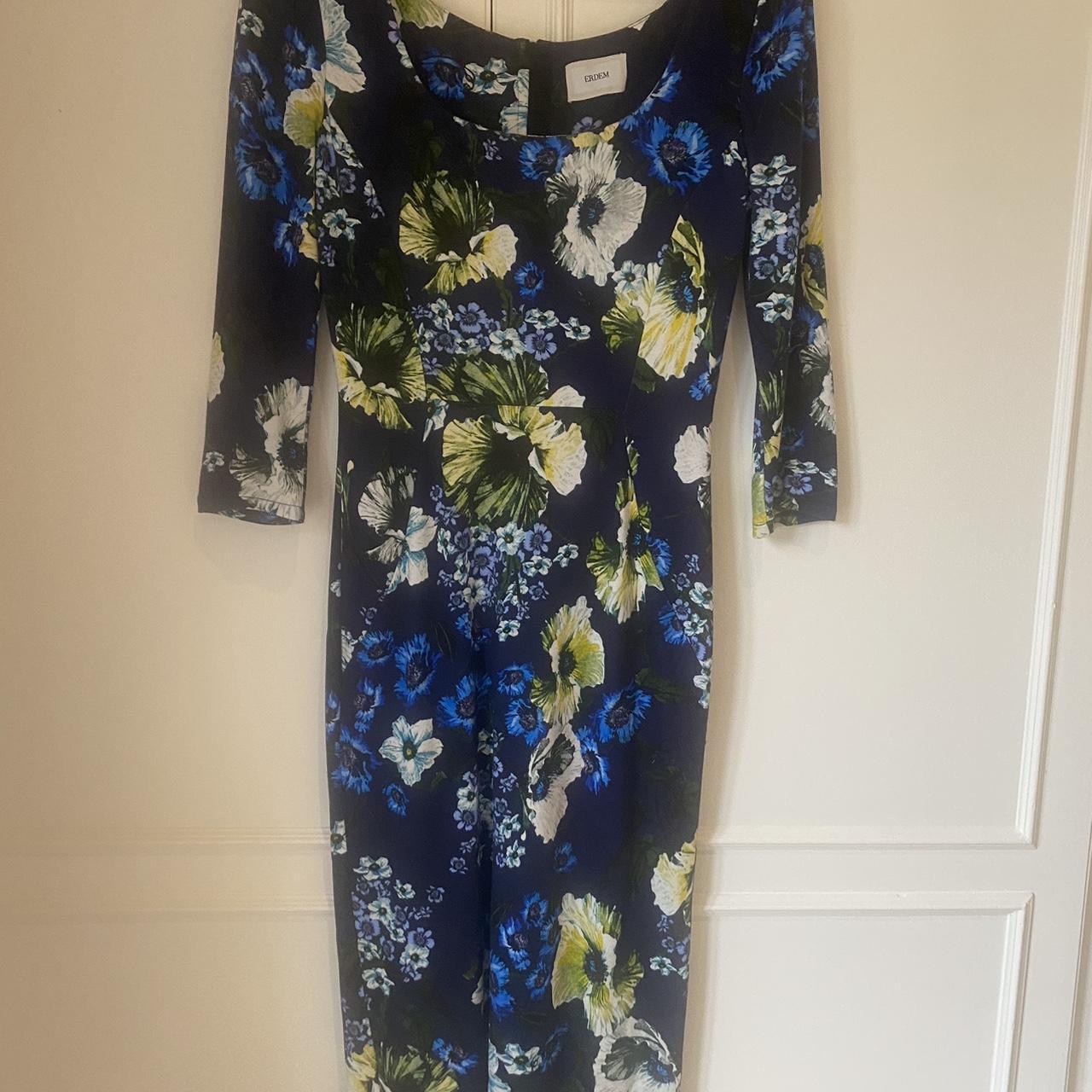 Erdem blue hotsell floral dress