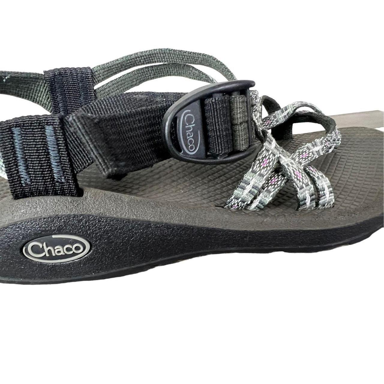 Chaco buckle online