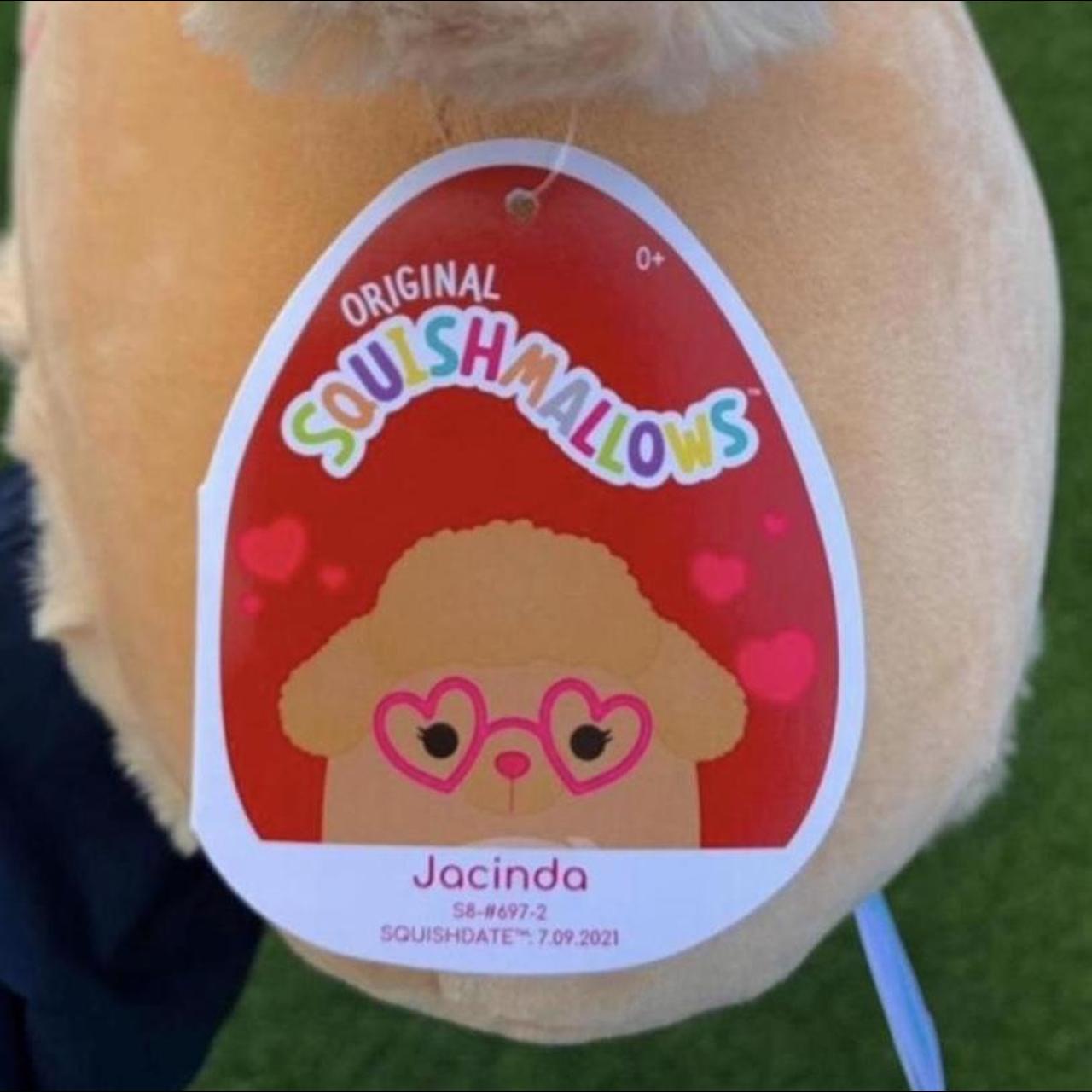 jacinda the poodle squishmallow