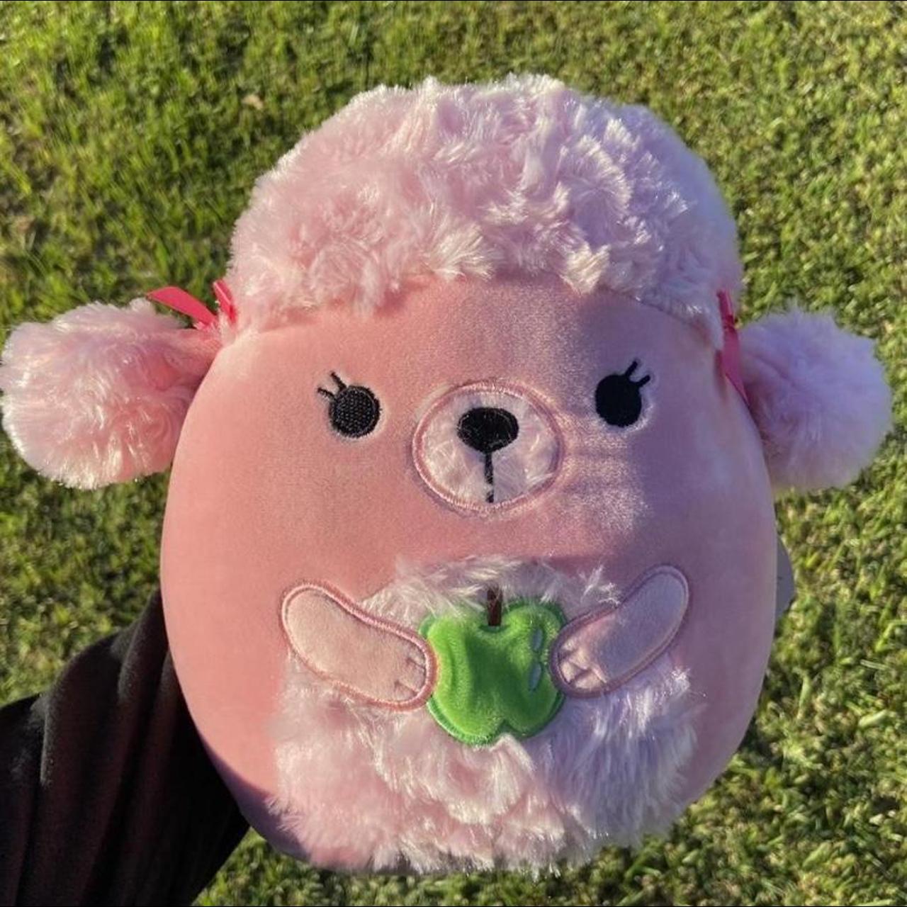 chloe poodle squishmallow