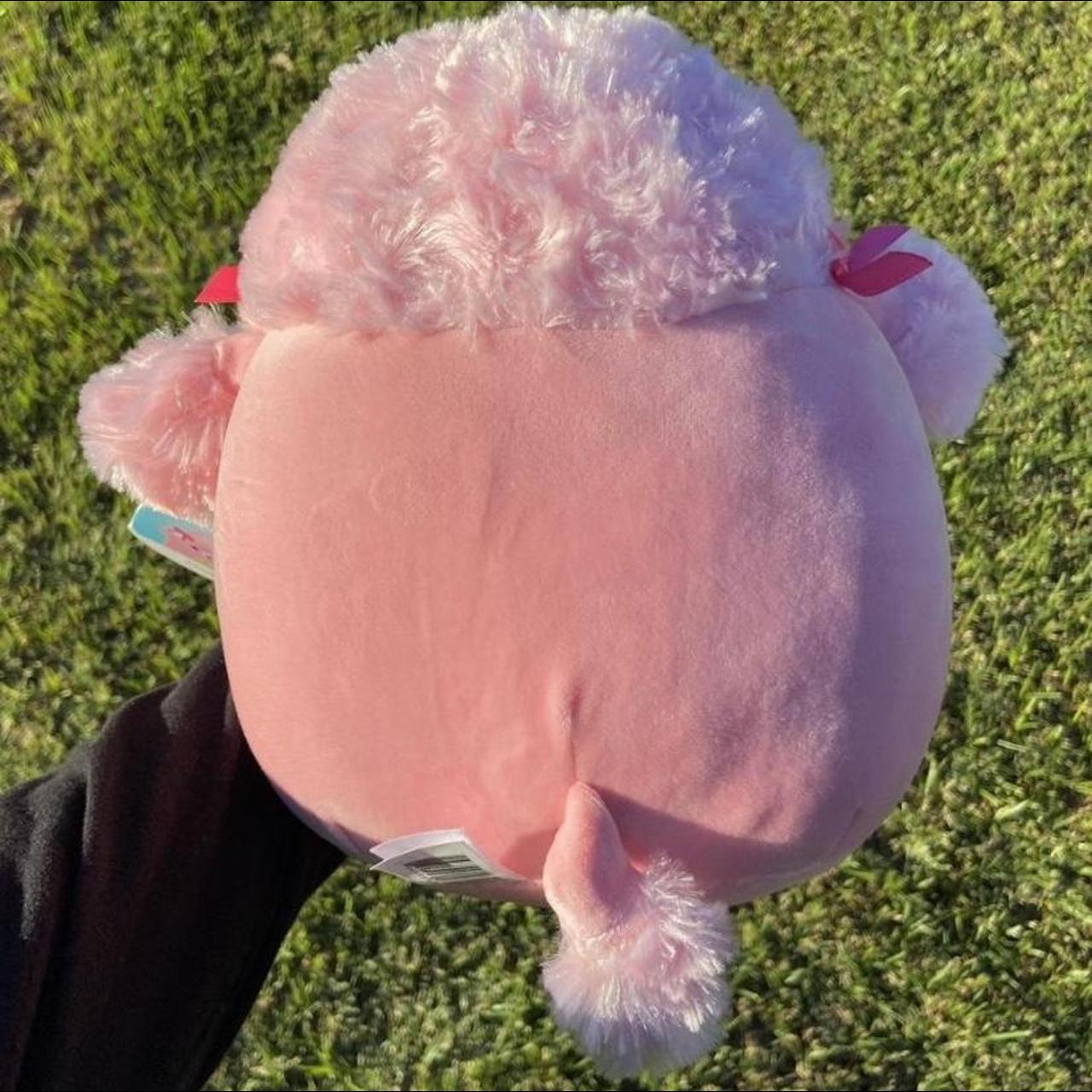 chloe poodle squishmallow