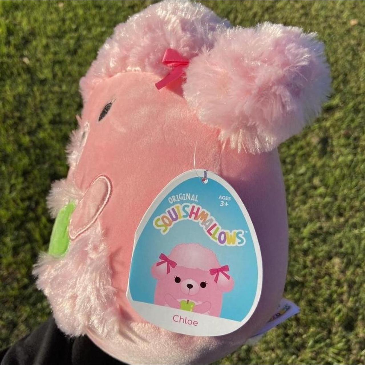 chloe poodle squishmallow