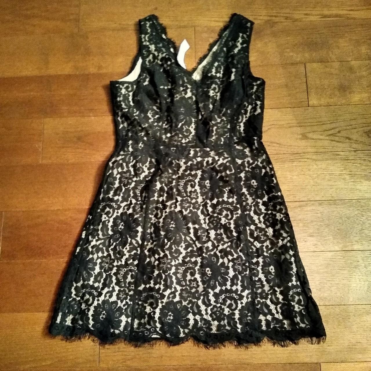 Loft 2025 lace dress