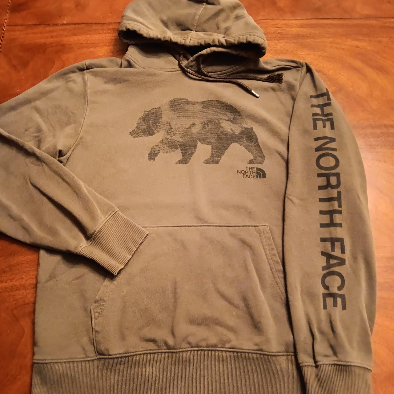 North face bearscape hoodie best sale